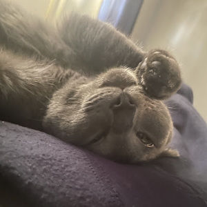 Meet your Posher, Kenny